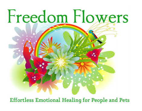 Freedomflowers.com Seneca Schurbon